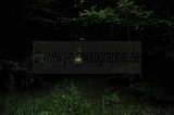 drei_tuerme_bad_berka_08_2016_137