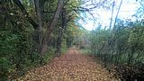hainich_welterbepfad_10_2017_01