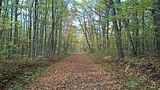 hainich_welterbepfad_10_2017_04
