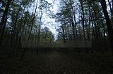 hainich_welterbepfad_10_2017_12