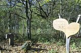 hainich_welterbepfad_10_2017_21
