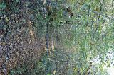 hainich_welterbepfad_10_2017_22
