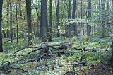 hainich_welterbepfad_10_2017_24