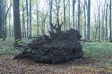 hainich_welterbepfad_10_2017_25
