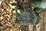 hainich_welterbepfad_10_2017_28