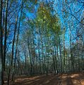 hainich_welterbepfad_10_2017_37