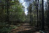 hainich_welterbepfad_10_2017_40