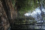 hainich_welterbepfad_10_2017_41