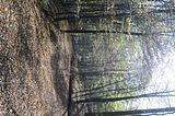 hainich_welterbepfad_10_2017_44