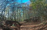 hainich_welterbepfad_10_2017_47