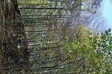 hainich_welterbepfad_10_2017_49