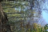 hainich_welterbepfad_10_2017_50