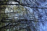 hainich_welterbepfad_10_2017_52