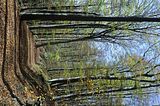 hainich_welterbepfad_10_2017_54