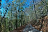 hainich_welterbepfad_10_2017_56