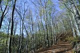 hainich_welterbepfad_10_2017_57