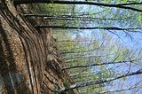 hainich_welterbepfad_10_2017_58