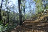 hainich_welterbepfad_10_2017_60