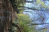 hainich_welterbepfad_10_2017_63