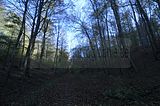 hainich_welterbepfad_10_2017_67