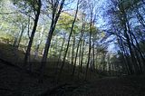 hainich_welterbepfad_10_2017_68