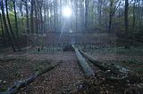 hainich_welterbepfad_10_2017_70