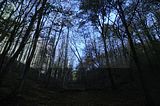 hainich_welterbepfad_10_2017_72