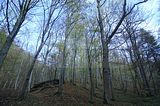 hainich_welterbepfad_10_2017_75