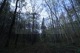 hainich_welterbepfad_10_2017_76