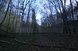 hainich_welterbepfad_10_2017_77