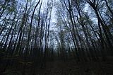 hainich_welterbepfad_10_2017_84