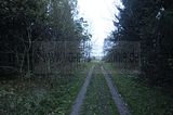 hainich_welterbepfad_10_2017_94