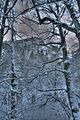 inselsberg_01_2017_hdr_001