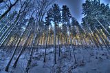 inselsberg_01_2017_hdr_002