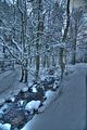 inselsberg_01_2017_hdr_003