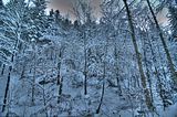 inselsberg_01_2017_hdr_005