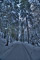 inselsberg_01_2017_hdr_006