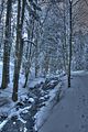 inselsberg_01_2017_hdr_007