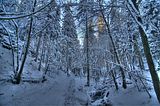 inselsberg_01_2017_hdr_008