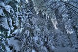 inselsberg_01_2017_hdr_009