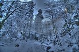 inselsberg_01_2017_hdr_011