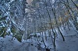 inselsberg_01_2017_hdr_012