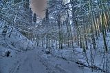 inselsberg_01_2017_hdr_013