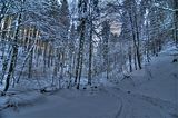 inselsberg_01_2017_hdr_014