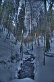 inselsberg_01_2017_hdr_015