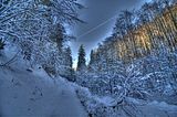 inselsberg_01_2017_hdr_017