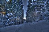 inselsberg_01_2017_hdr_018