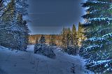 inselsberg_01_2017_hdr_019