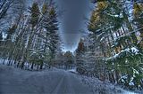 inselsberg_01_2017_hdr_021