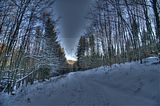 inselsberg_01_2017_hdr_022